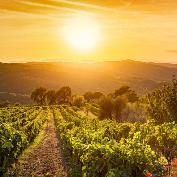 Pôr do sol na fortaleza de Montalcino