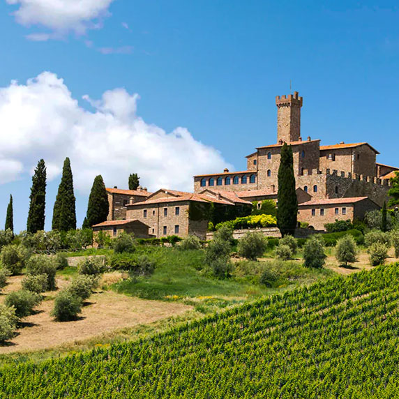 Vinhedos de Montalcino na Toscana