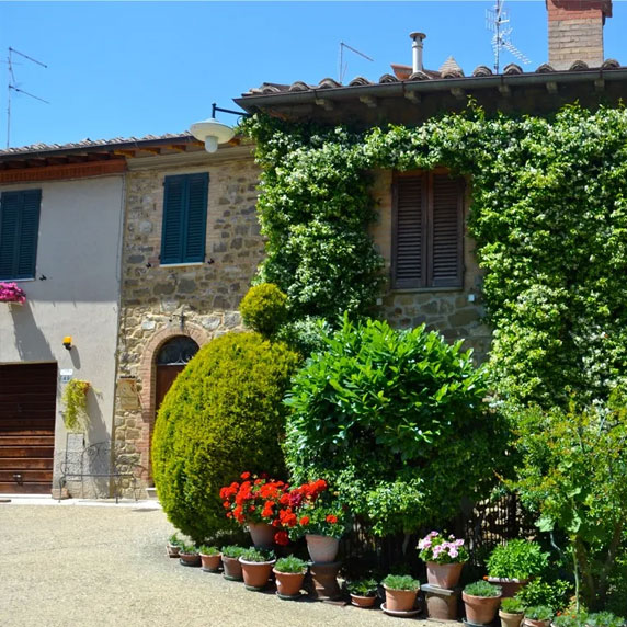 Primavera em Montalcino