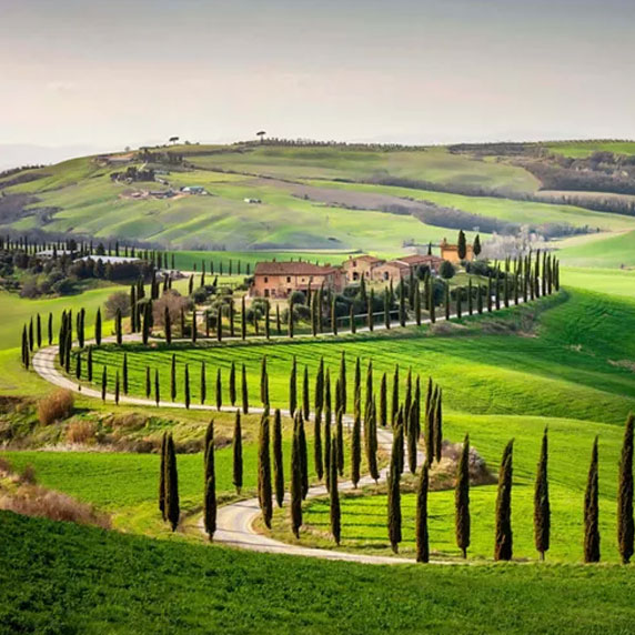 Estradas de ciprestes na Toscana