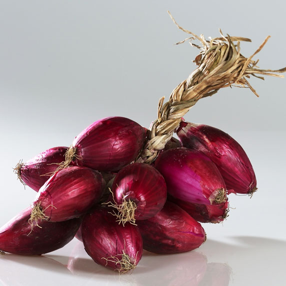 Cipolla Rossa di Tropea